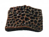 PF007 - Crocodile (Crocodylus) scale fossil