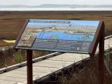 Morro Bay National Nature Reserve - California MU004