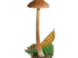 Inocybe acuta FU013