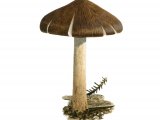 Inocybe subcarpta FU016