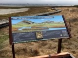 Morro Bay National Nature Reserve - California MU002