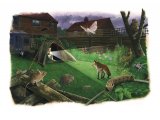 Night Garden Wildlife Watch CG001