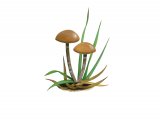 Psilocybe subviscida var. velata F011