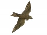 Sand Martin (Riparia riparia) BD0427